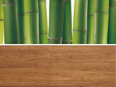 bamboo Flooring
